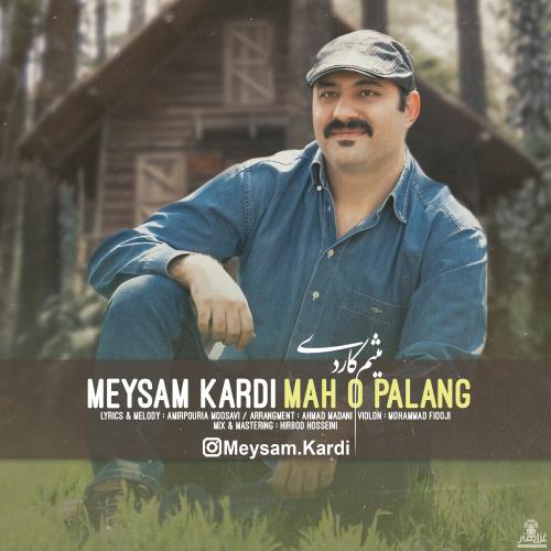 دانلود آهنگ ماه و پلنگ میثم کاردی